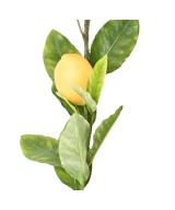 Kunstsidrunipuu pärg 160