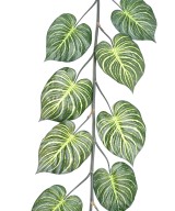 Artificial APHELANDRA GIANT GARLAND 180