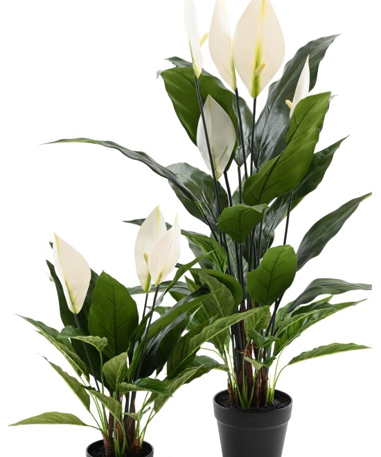 Kunstlik SPATHIPHYLLUM (rahuliilia) 50 CM