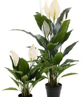 Kunstlik SPATHIPHYLLUM (rahuliilia) 50 CM