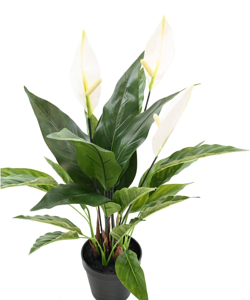 Kunstlik SPATHIPHYLLUM (rahuliilia) 50 CM
