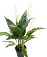 Kunstlik SPATHIPHYLLUM (rahuliilia) 50 CM