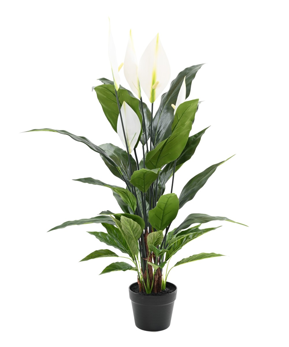 Kunstlik SPATHIPHYLLUM (rahuliilia) 90 CM