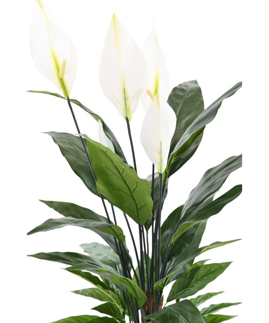 Kunstlik SPATHIPHYLLUM (rahuliilia) 90 CM
