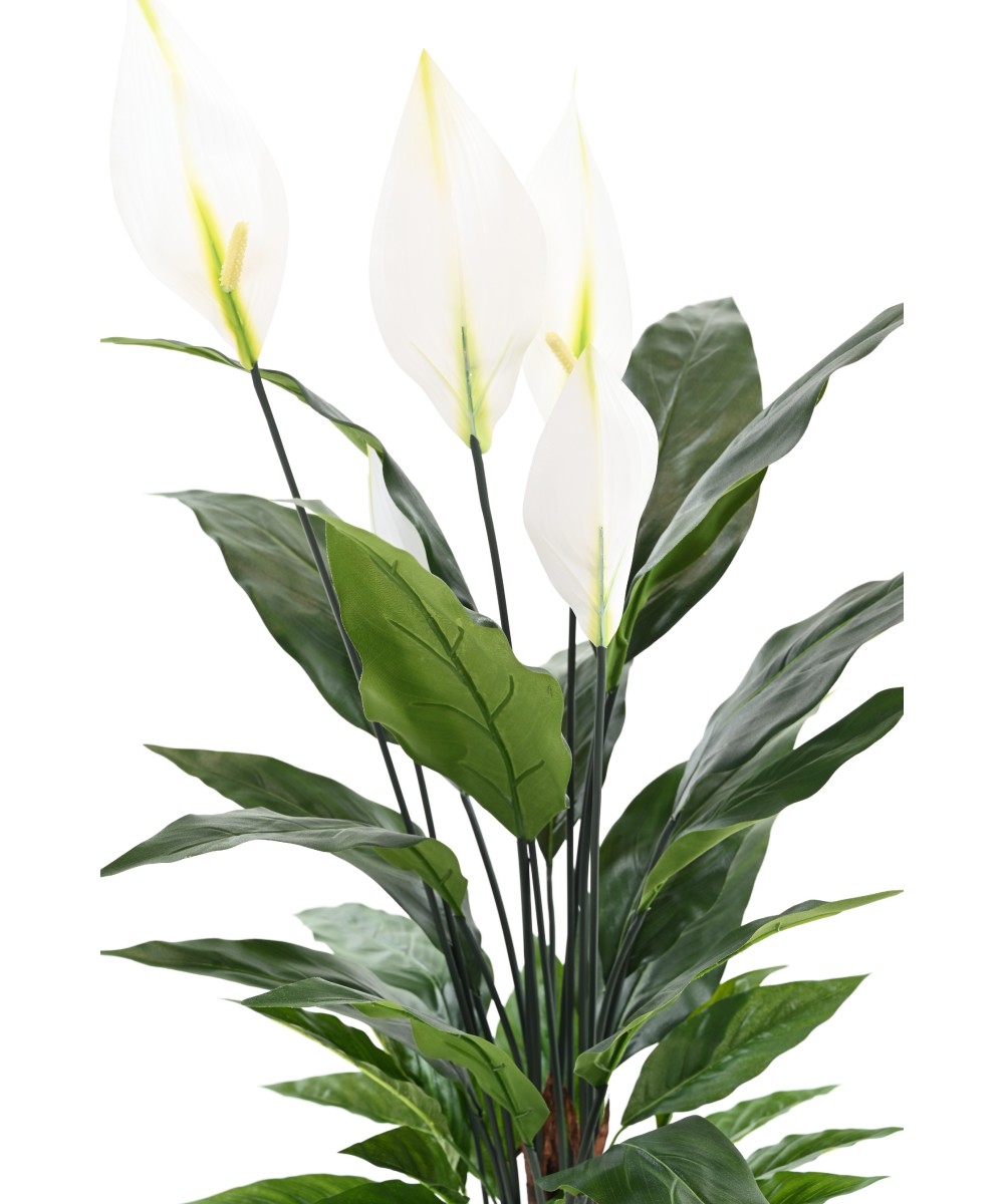 Kunstlik SPATHIPHYLLUM (rahuliilia) 90 CM