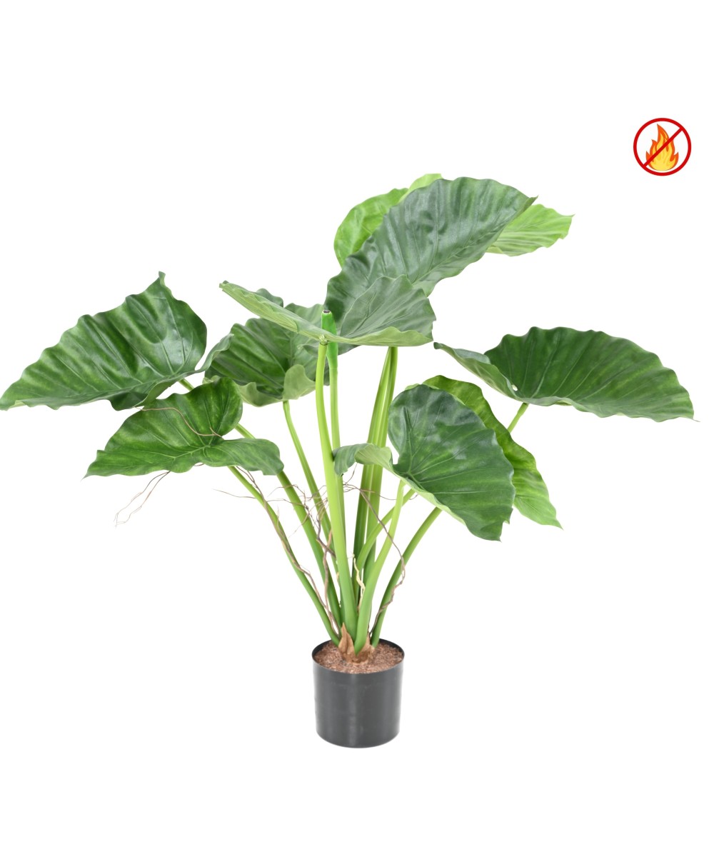 Kunstlik alokaasia calidora TB FR - tulekindel