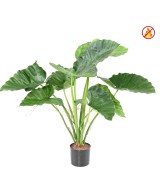 Kunstlik alokaasia calidora TB FR - tulekindel
