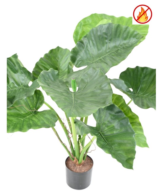 Kunstlik alokaasia calidora TB FR - tulekindel