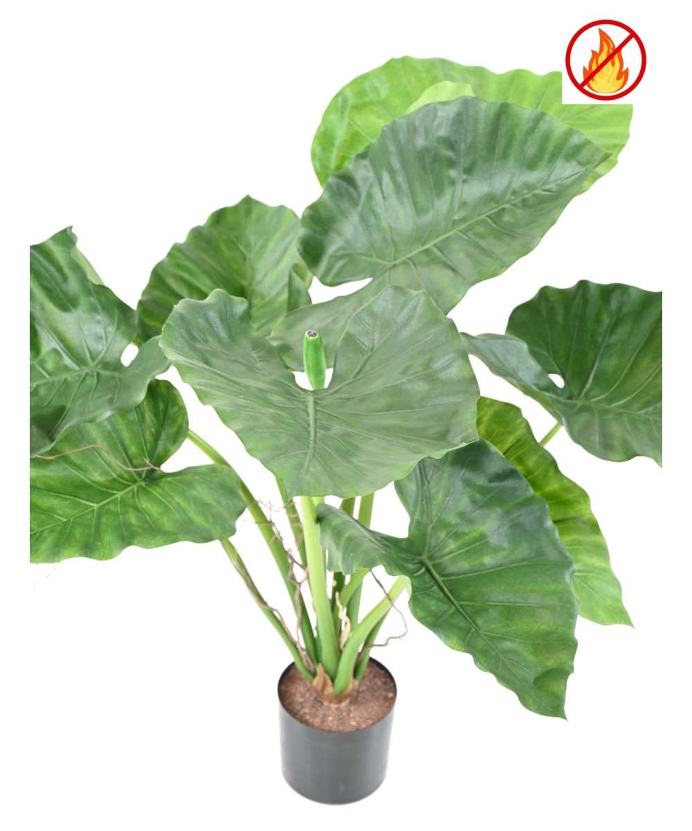 Kunstlik alokaasia calidora TB FR - tulekindel