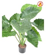 Kunstlik alokaasia calidora TB FR - tulekindel