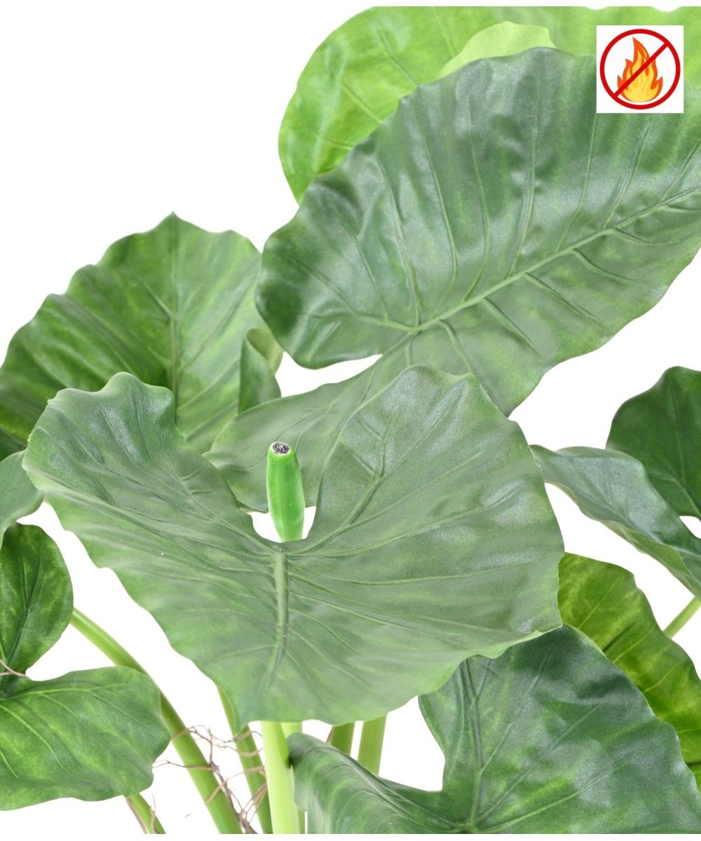 Kunstlik alokaasia calidora TB FR - tulekindel