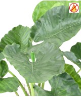 Kunstlik alokaasia calidora TB FR - tulekindel