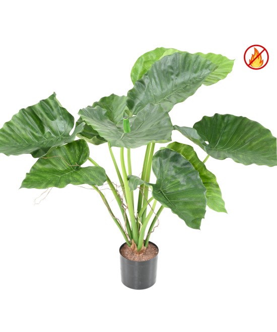 Kunstlik alokaasia calidora TB FR - tulekindel