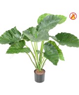 Kunstlik alokaasia calidora TB FR - tulekindel
