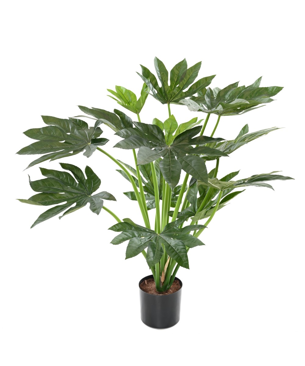 Kunstlik FATSIA JAPONICA TAIM 80