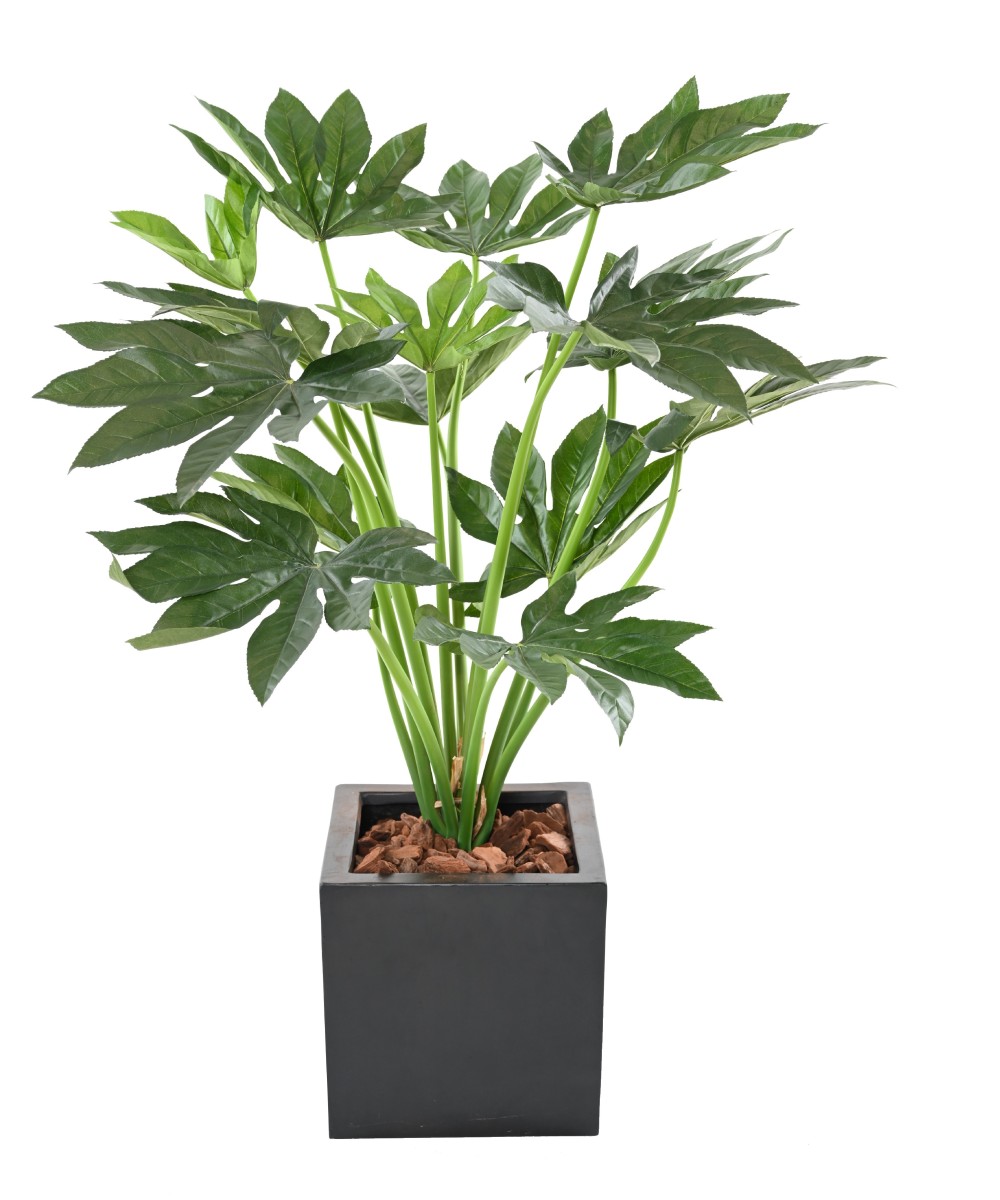 Kunstlik FATSIA JAPONICA TAIM 80