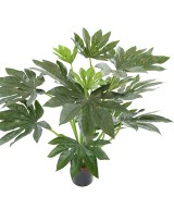 Kunstlik FATSIA JAPONICA TAIM 80
