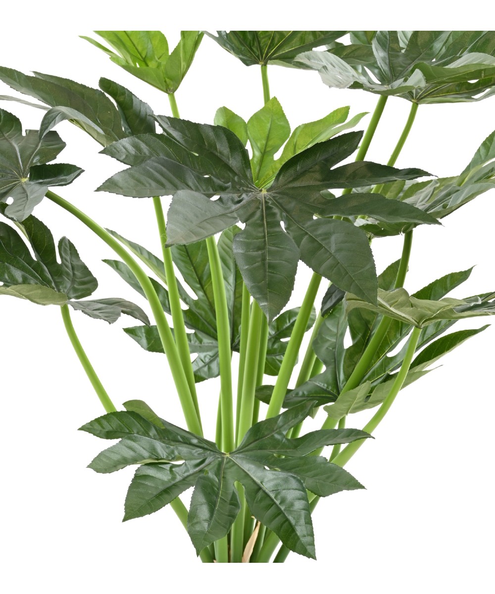 Kunstlik FATSIA JAPONICA TAIM 80