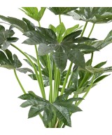 Kunstlik FATSIA JAPONICA TAIM 80
