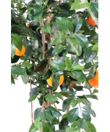 Artificial orange tree NEW