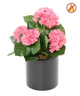 Artificial Hydrangea FR - Fire Resistant