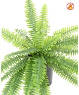 Artificial Boston Fern FR - Fire Resistant