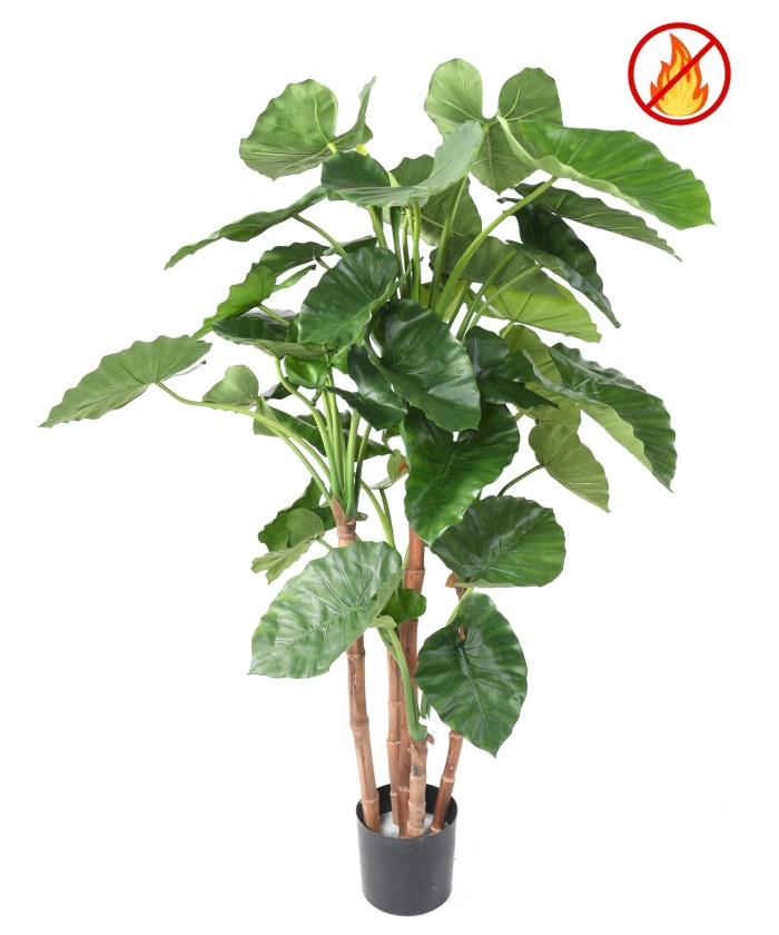 Kunstlik alokaasia calidora TB FR - tulekindel