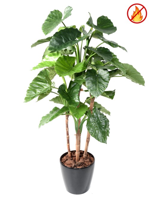 Kunstlik alokaasia calidora TB FR - tulekindel