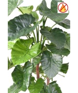 Kunstlik alokaasia calidora TB FR - tulekindel