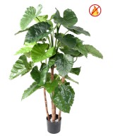 Kunstlik alokaasia calidora TB FR - tulekindel