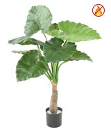 Kunstlik alokaasia calidora TB FR - tulekindel