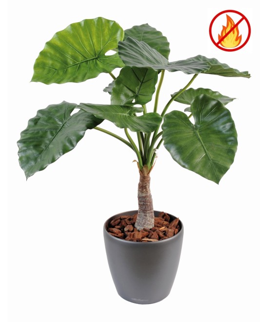 Kunstlik alokaasia calidora TB FR - tulekindel