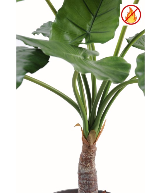 Kunstlik alokaasia calidora TB FR - tulekindel