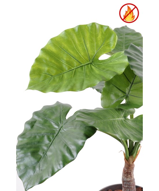 Kunstlik alokaasia calidora TB FR - tulekindel