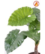 Kunstlik alokaasia calidora TB FR - tulekindel