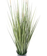 Kunstlik sibulahein (osi)