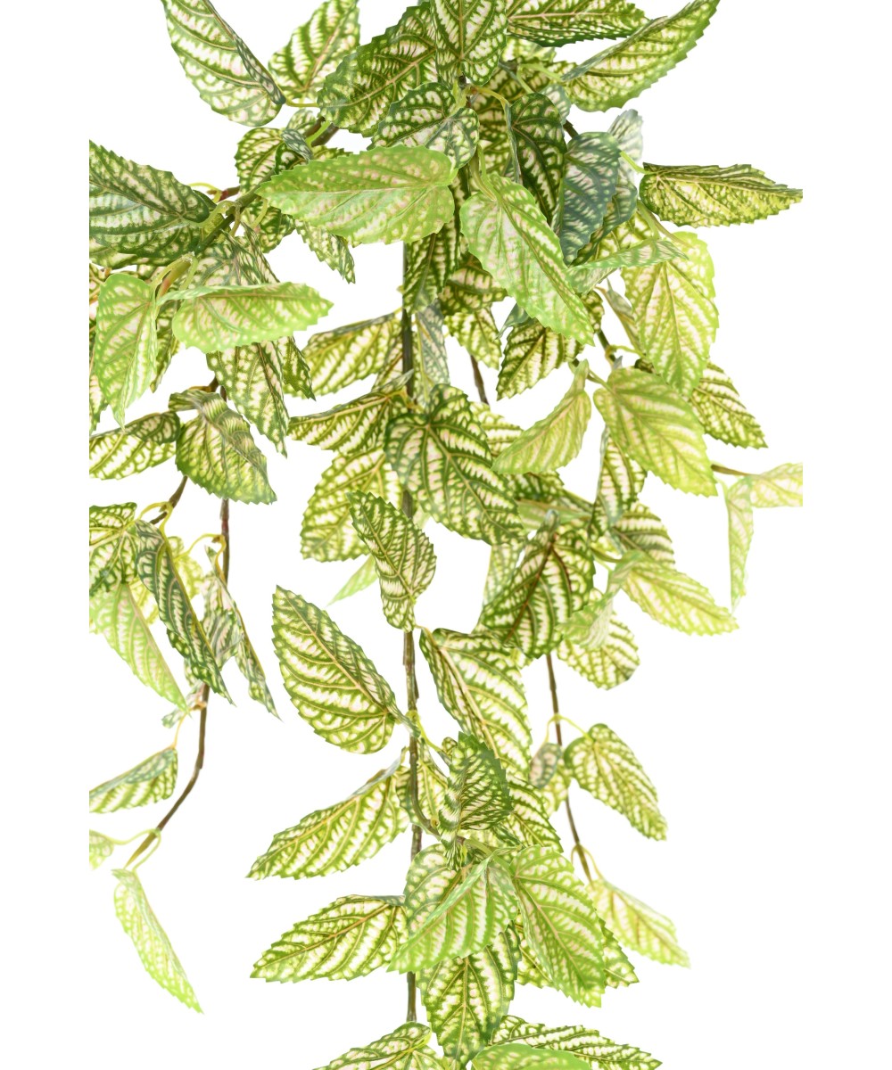 Artificial Strobilanthes (Red Ivy)