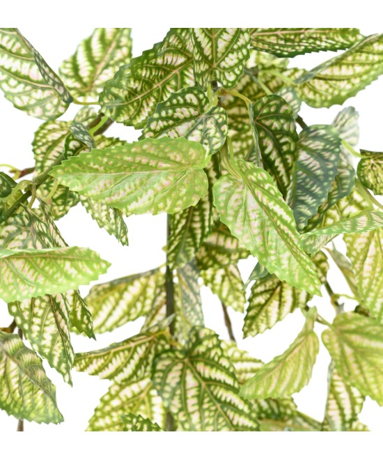 Artificial Strobilanthes (Red Ivy)