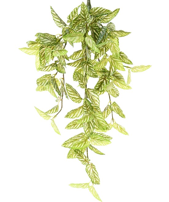 Artificial Strobilanthes (Red Ivy)