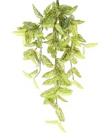 Artificial Strobilanthes (Red Ivy)