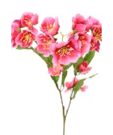 Artificial Helleborus