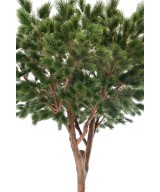Artificial Maritime Pine 310