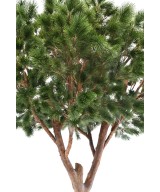 Artificial Maritime Pine 310