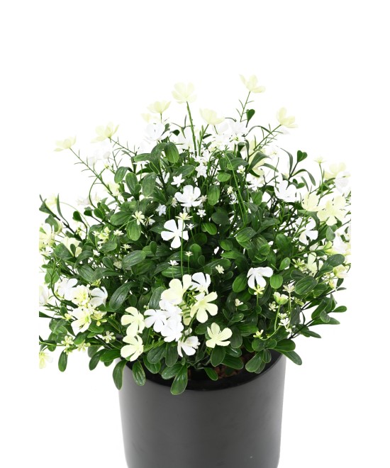 Artificial Soapwort L