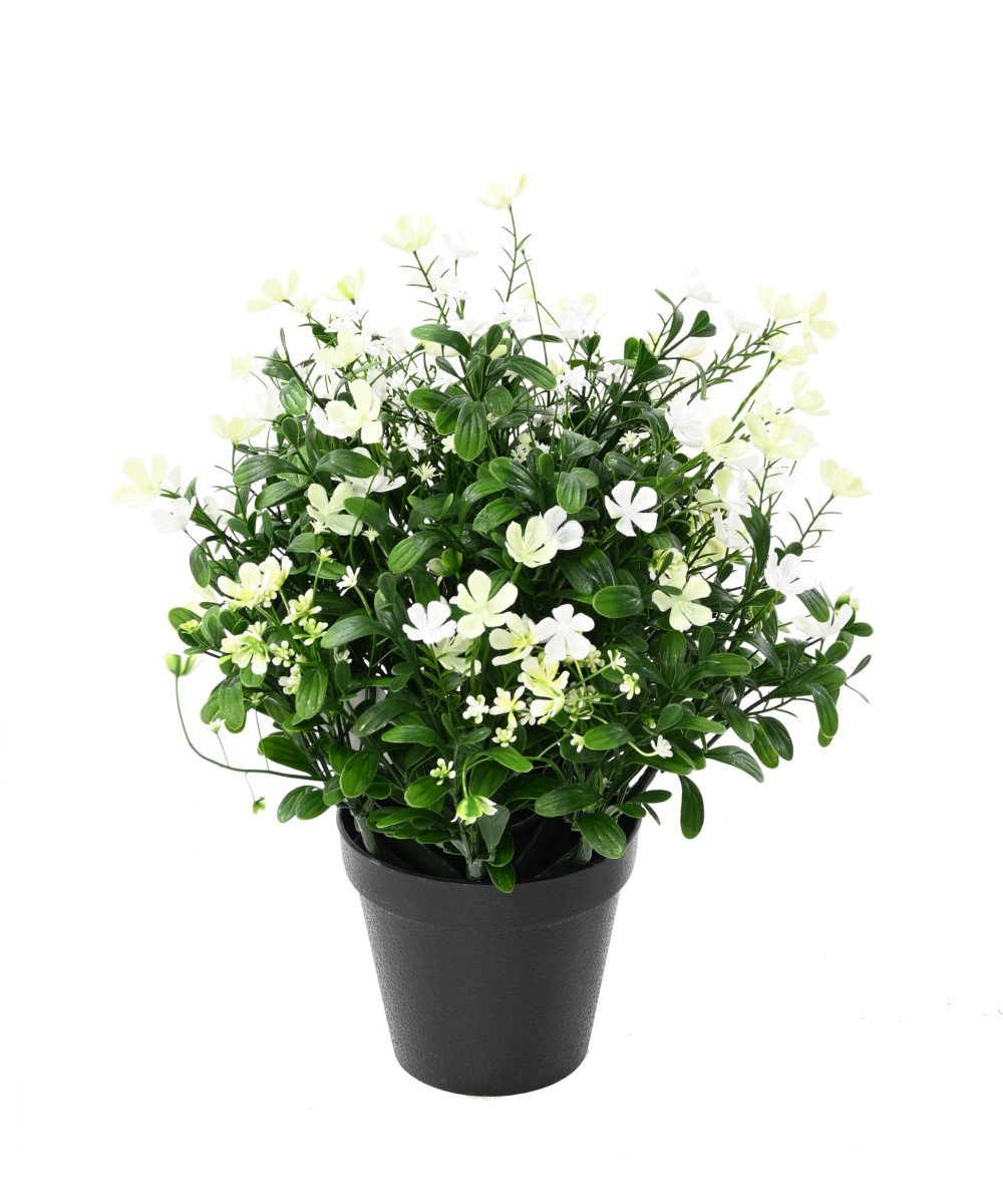 Artificial Soapwort L
