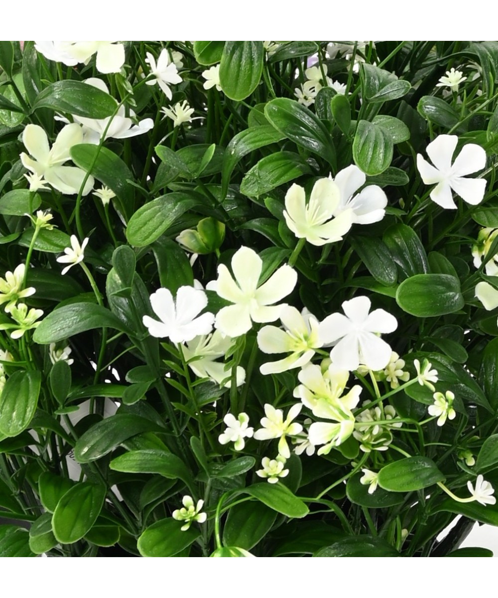 Artificial Soapwort L