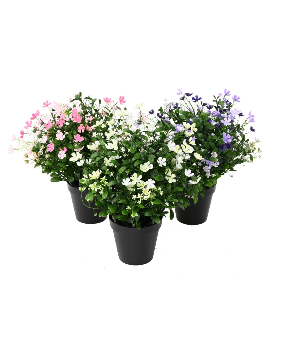 Artificial Soapwort L