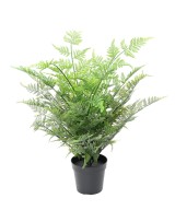 Artificial Australian Fern 60