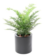 Artificial Australian Fern 60