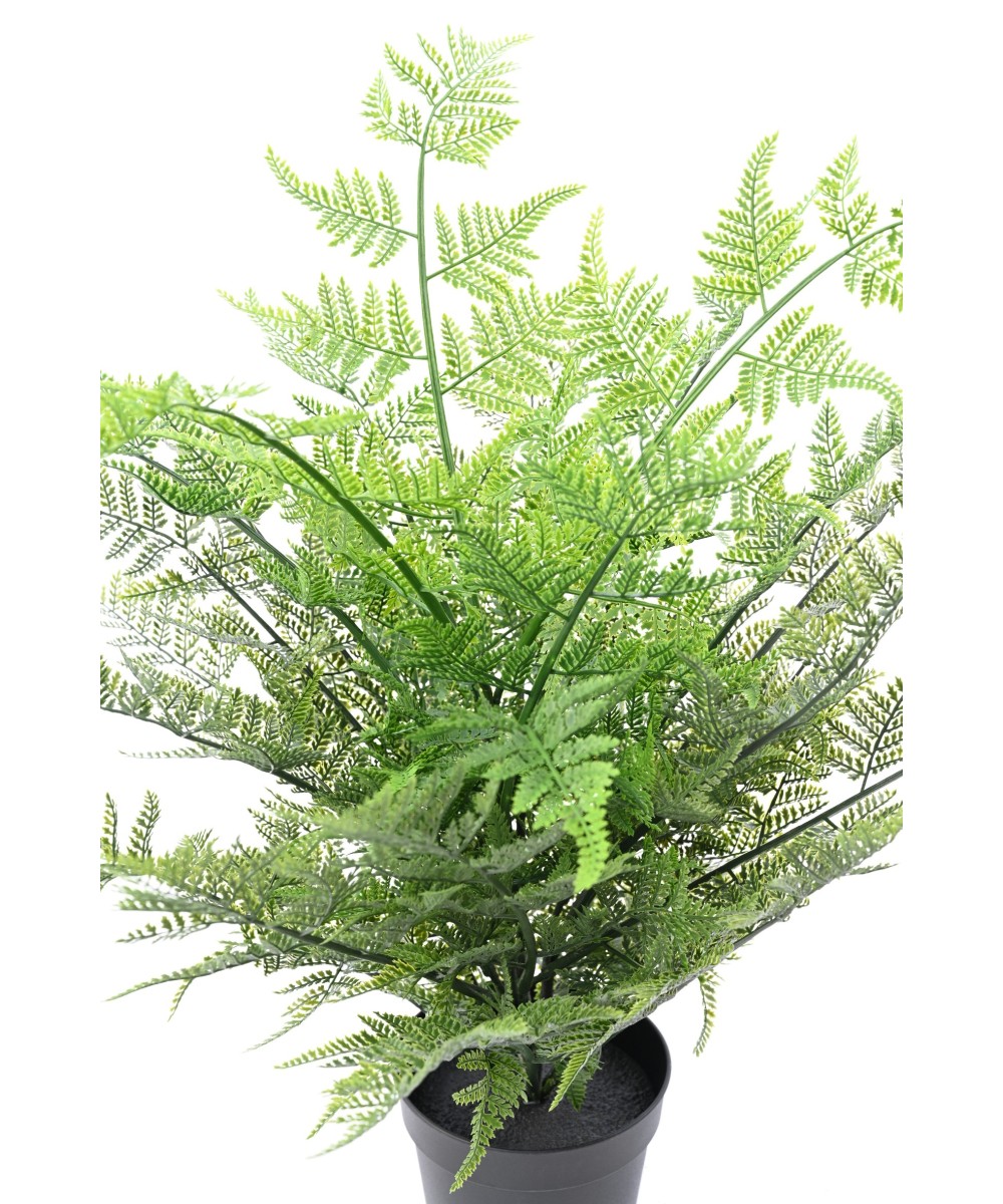 Artificial Australian Fern 60